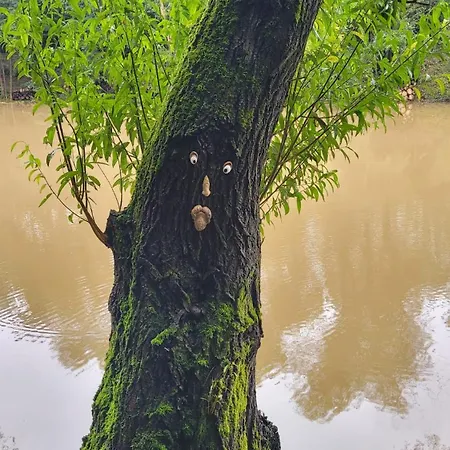 Hytte Glamping U Zabky *